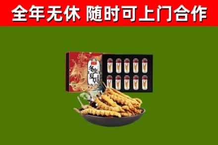 阳江烟酒回收冬虫夏草礼盒.jpg